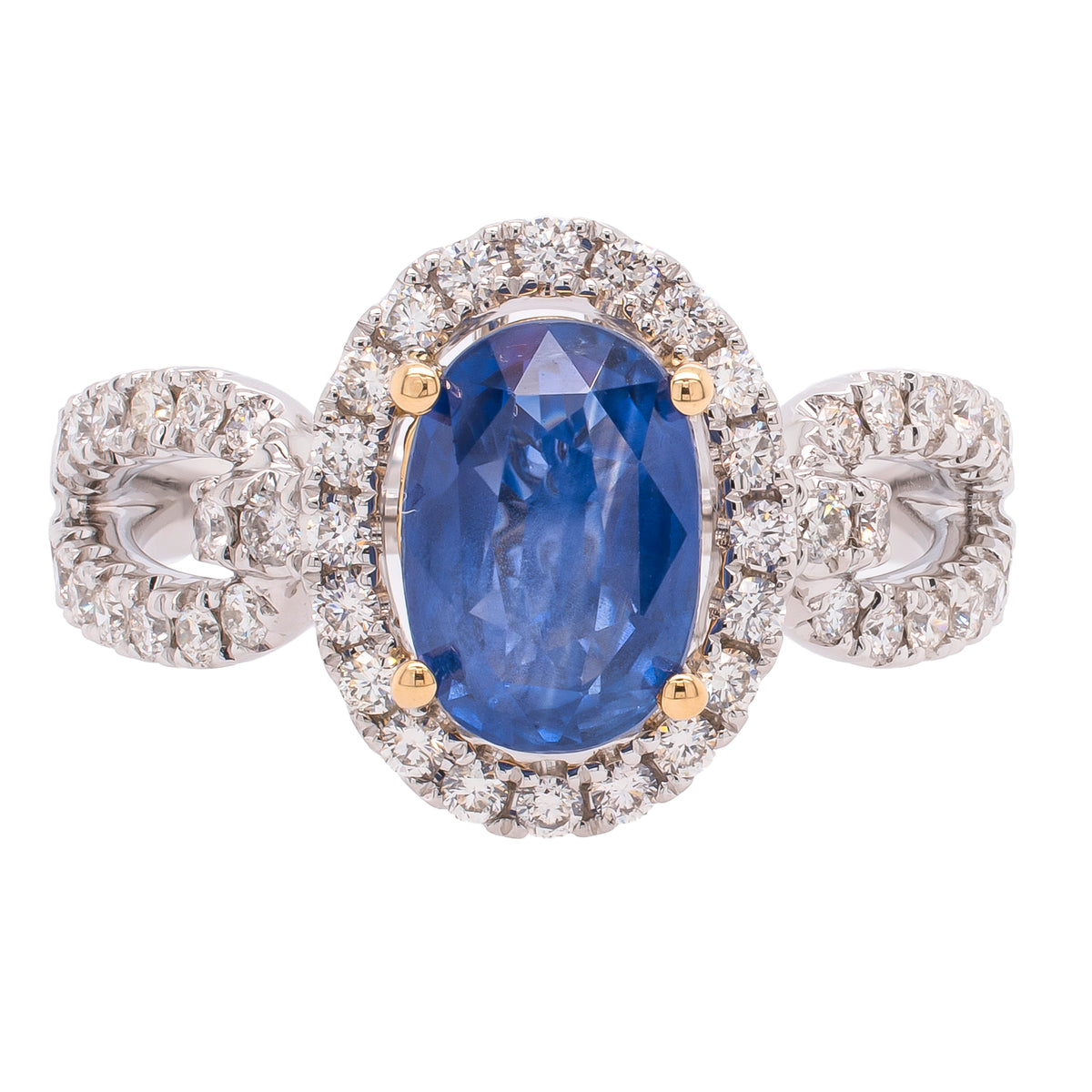 14K White and Yellow Gold Sapphire Looped Diamond Ring