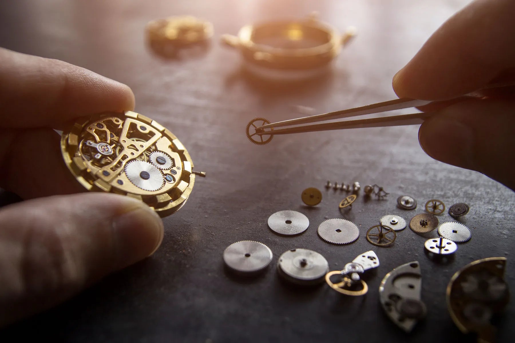 A watchmaker holding a gold watch movement while placing a gear with tweezers, parts laid out on the bench